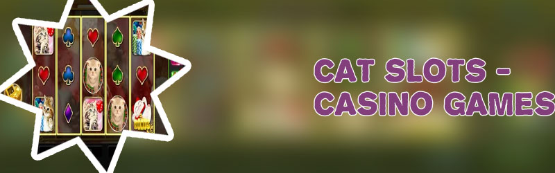 Cats slots
