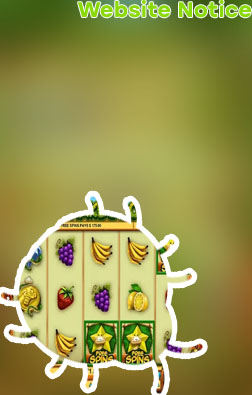 Free slot play no download no registration