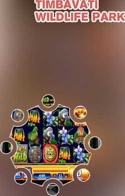 Wildlife slot machine